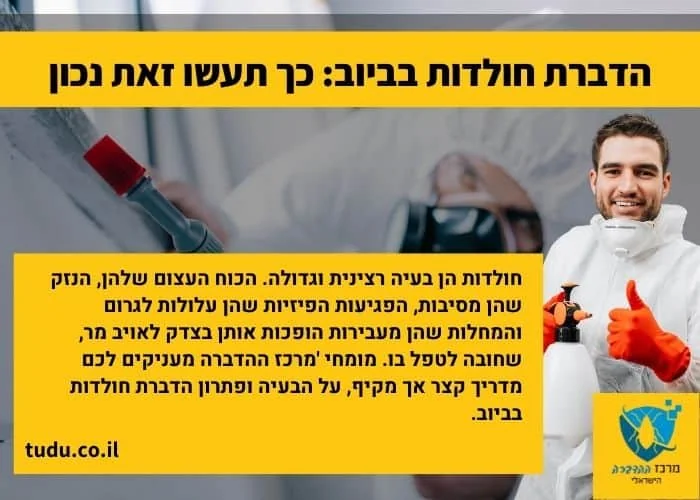 חולדות הן בעיה רצינית וגדולה. הכוח העצום שלהן, הנזק שהן מסיבות, הפגיעות הפיזיות שהן עלולות לגרום והמחלות שהן מעבירות הופכות אותן בצדק לאויב מר, שחובה לטפל בו. מומחי 'מרכז ההדברה מעניקים לכם מדריך קצר אך מקיף, על הבעיה ופתרון הדברת חולדות בביוב.