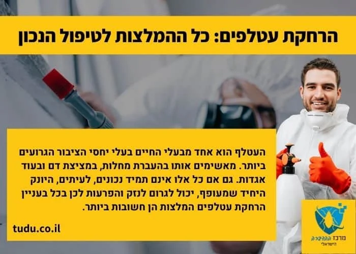 העטלף הוא אחד מבעלי החיים בעלי יחסי הציבור הגרועים ביותר. מאשימים אותו בהעברת מחלות, במציצת דם ובעוד אגדות. גם אם כל אלו אינם תמיד נכונים, לעיתים, היונק היחיד שמעופף, יכול לגרום לנזק והפרעות לכן בכל בעניין הרחקת עטלפים המלצות הן חשובות ביותר.