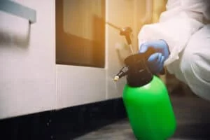 הדברת נמלים בג'ל